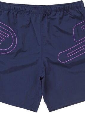 Like new Supreme Big Logo Nylon Short